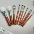 ESASH® Set 10 brushes smoot start Collection